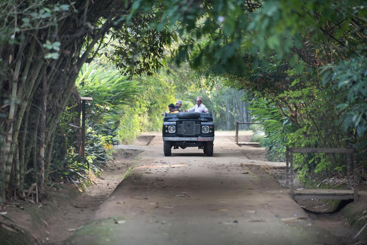 Tiger Tops Tharu Lodge Chitwan Exteriör bild