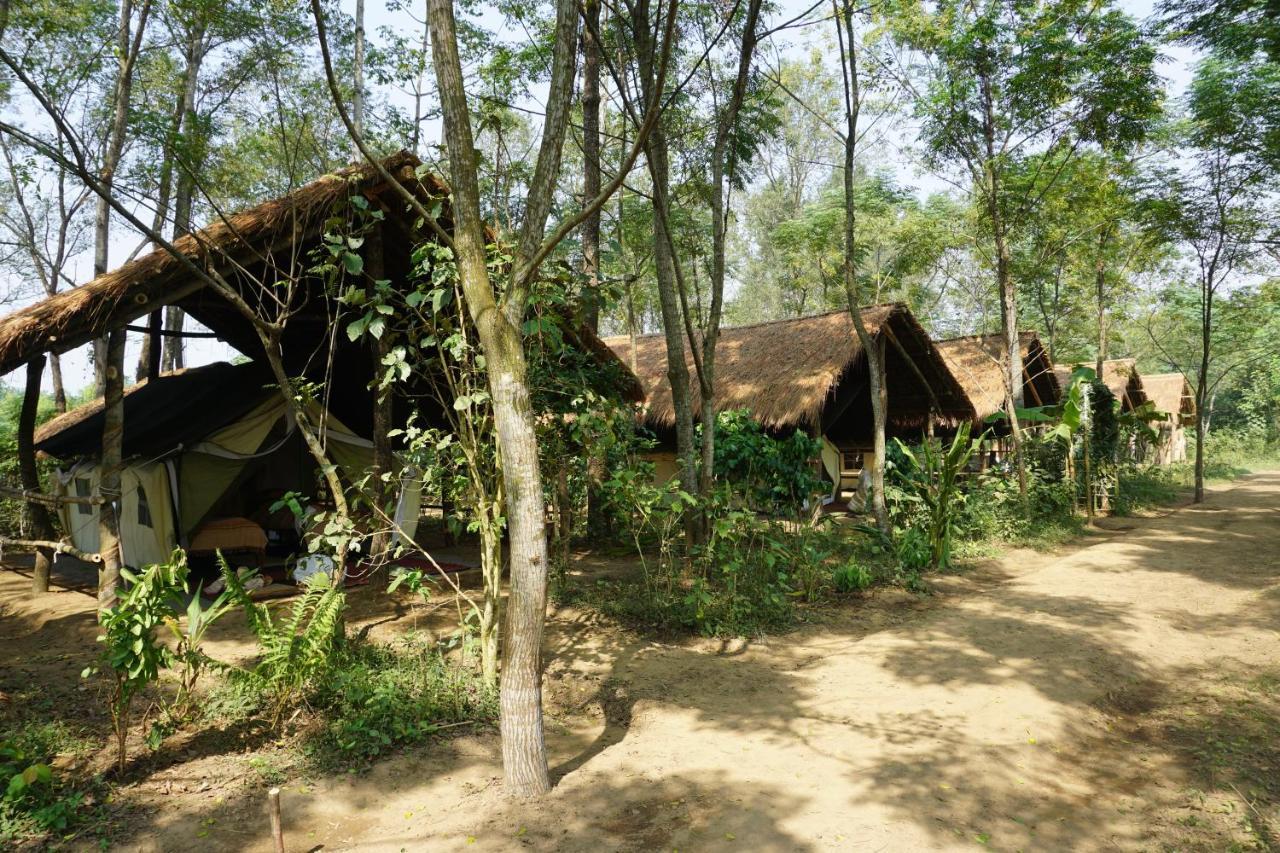 Tiger Tops Tharu Lodge Chitwan Exteriör bild