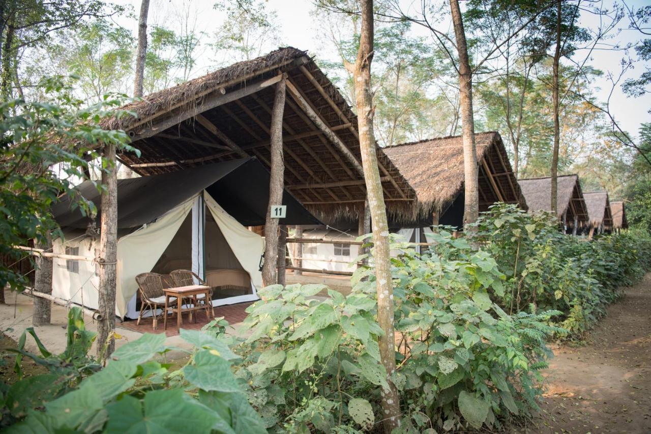 Tiger Tops Tharu Lodge Chitwan Exteriör bild