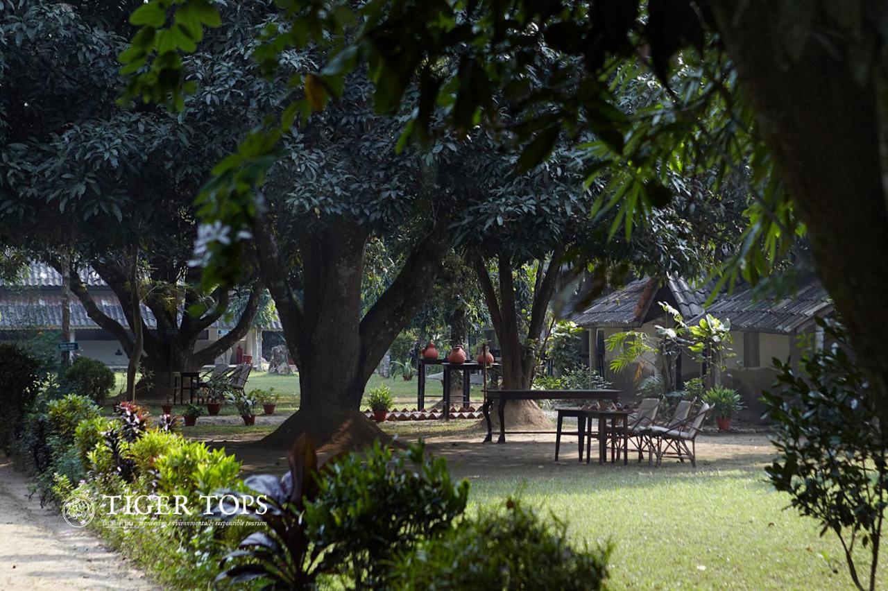 Tiger Tops Tharu Lodge Chitwan Exteriör bild