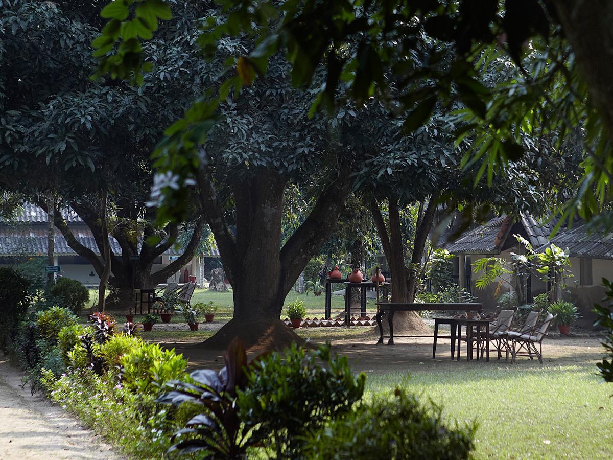 Tiger Tops Tharu Lodge Chitwan Exteriör bild