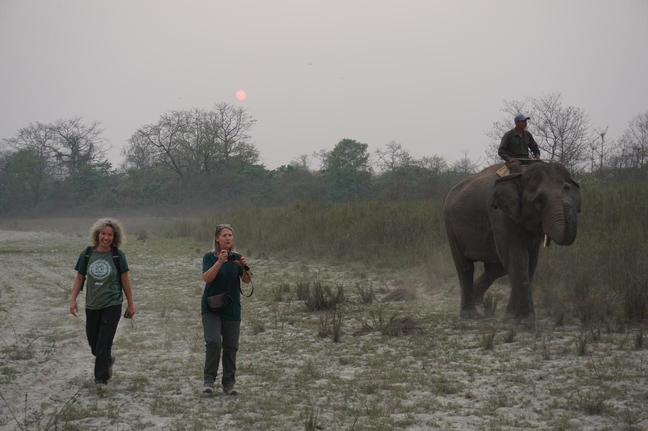 Tiger Tops Tharu Lodge Chitwan Exteriör bild