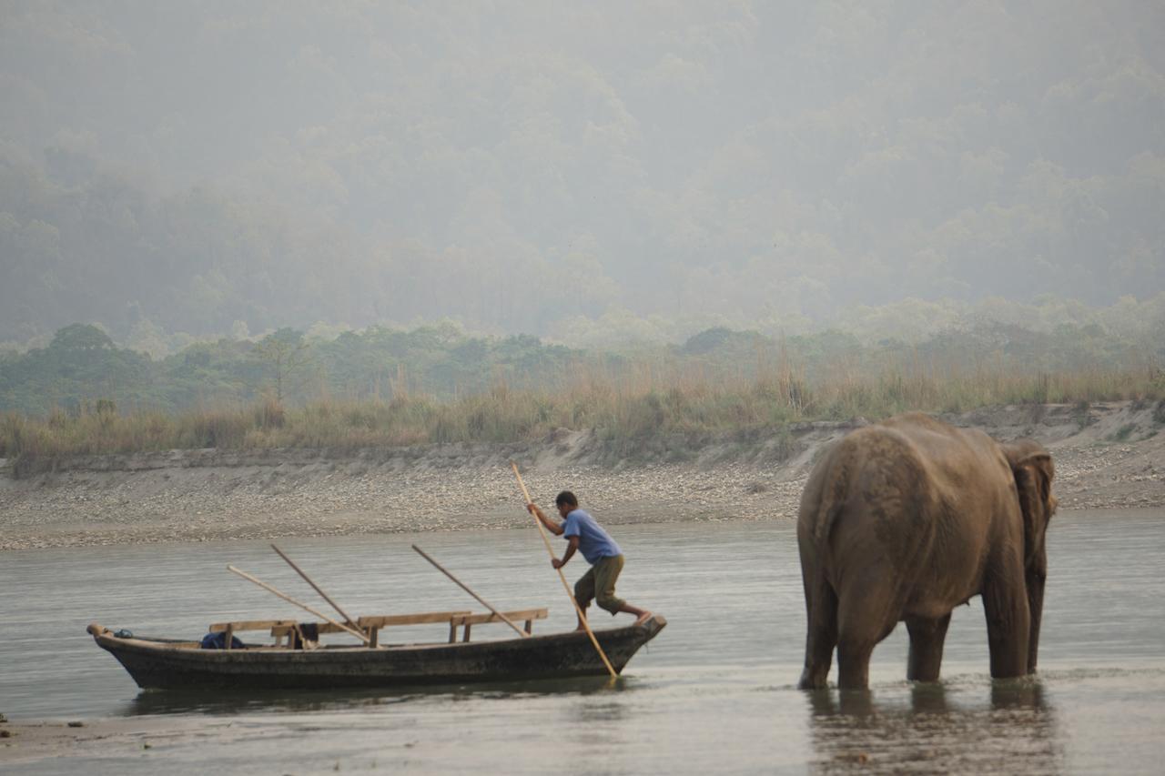 Tiger Tops Tharu Lodge Chitwan Exteriör bild
