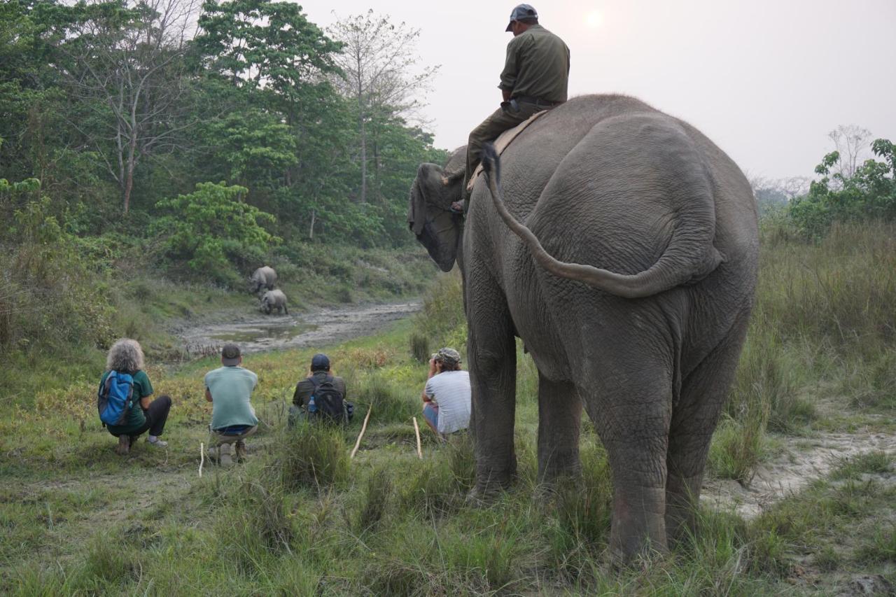 Tiger Tops Tharu Lodge Chitwan Exteriör bild